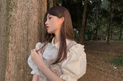 众多美国网民因不满政府的T